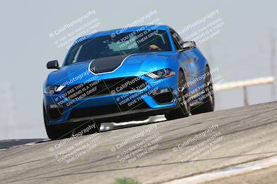 media/Jul-26-2025-Speed Ventures (Sat) [[fe569e6cf0]]/Black Group/Grapvine/